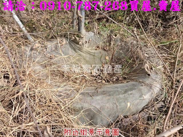 台南楠西農地-8