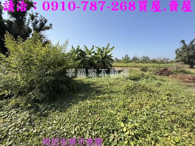 台南鹽水建地-6