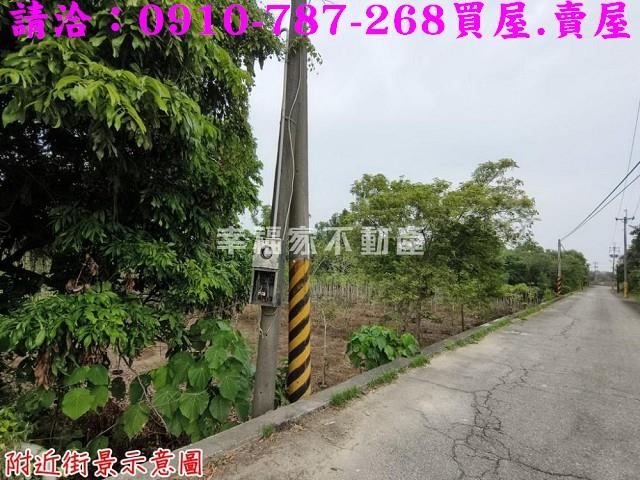 台南新市農地-9