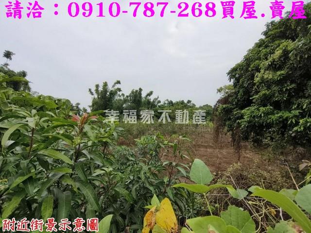 台南新市農地-14