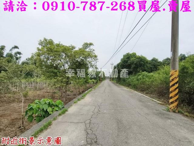 台南新市農地-7