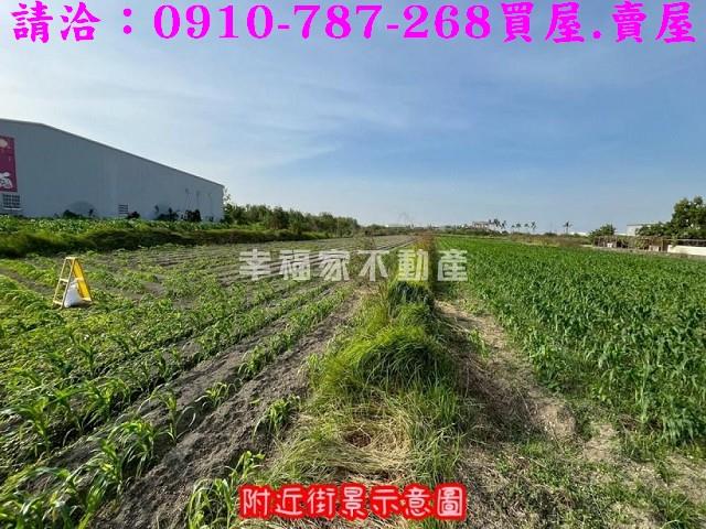 台南安南農地-7