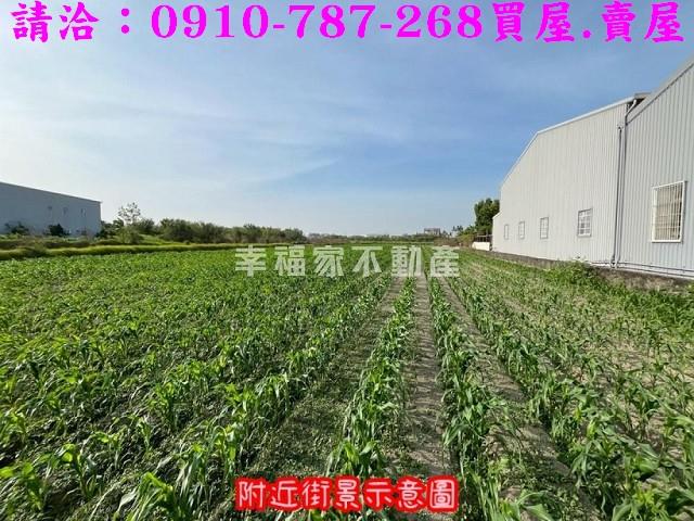 台南安南農地-8