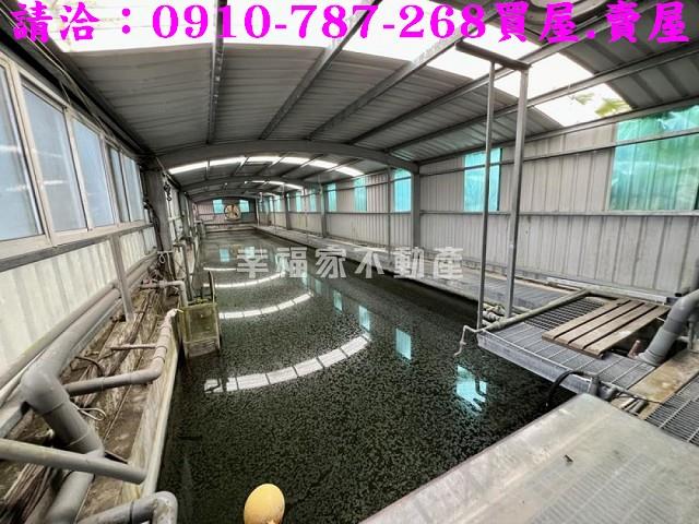 台南楠西農地-11