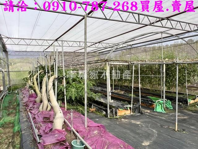 台南楠西農地-12