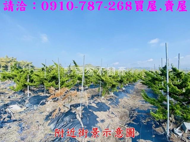 台南楠西農地-7