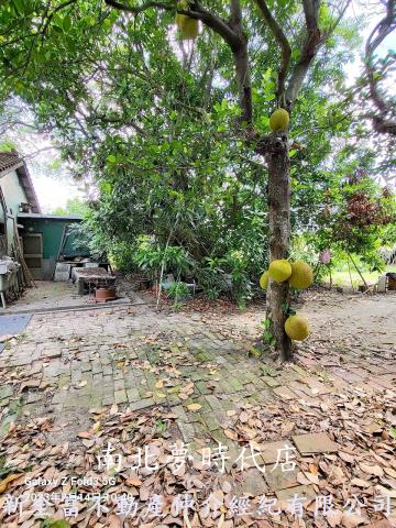 台南鹽水建地-0