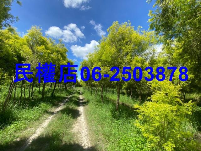 台南六甲農地-3