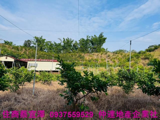 台南左鎮農地-6