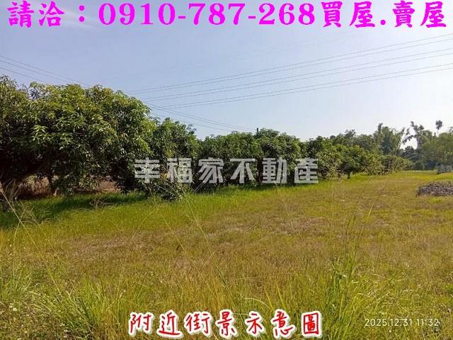 台南新市農地-2