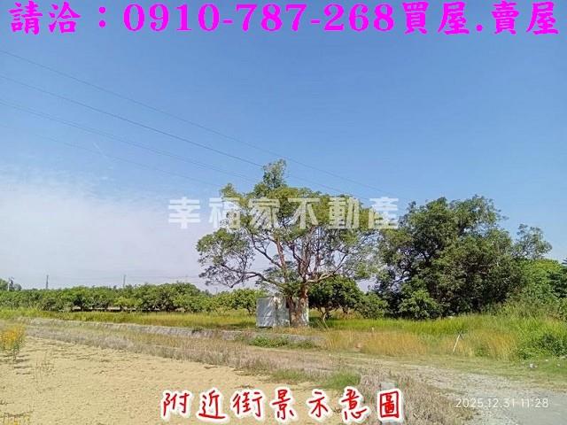 台南新市農地-4