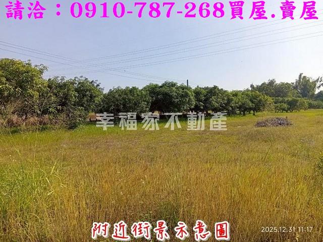 台南新市農地-7