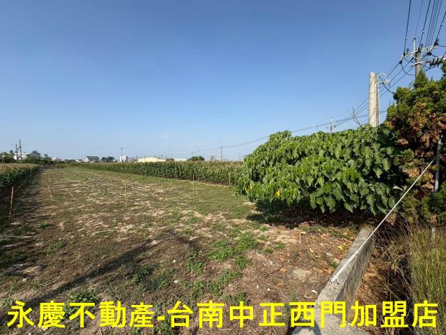 鹽水農地-7