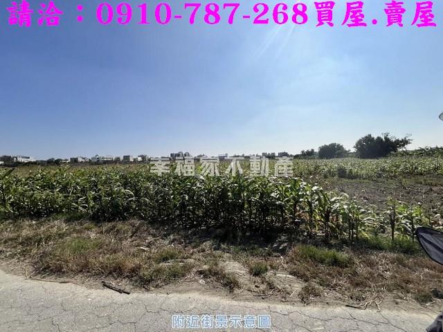 善化農地-13
