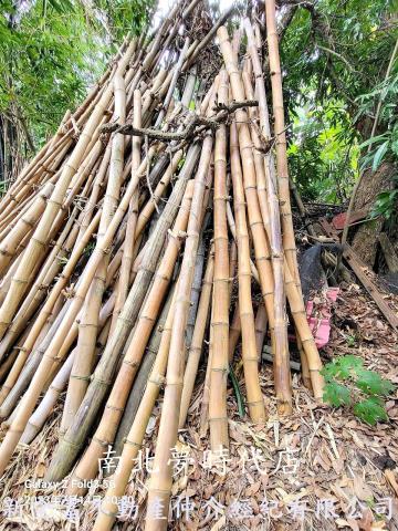 台南鹽水建地-1