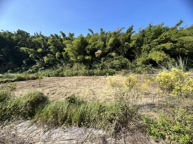 台南左鎮農地-1