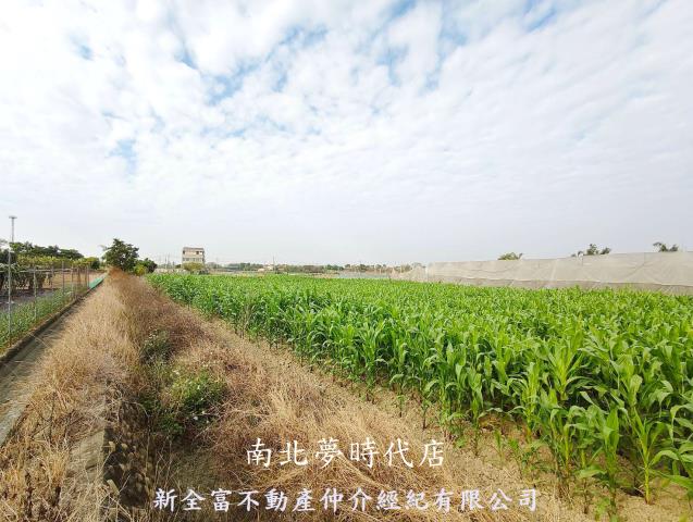 台南柳營農地-3