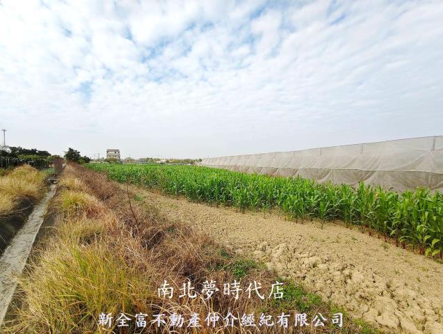 台南柳營農地-4