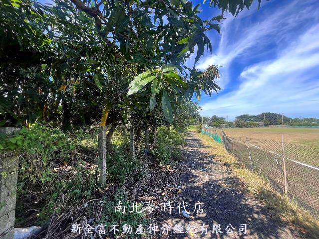 新化農地-6