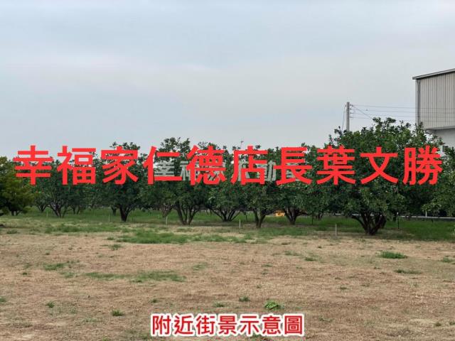 台南農地-14