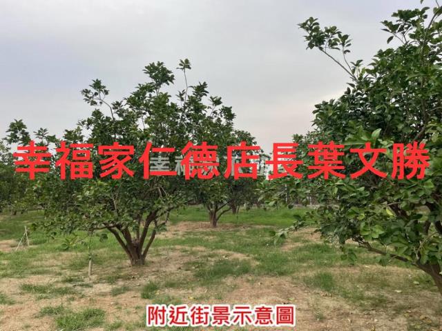 台南農地-3