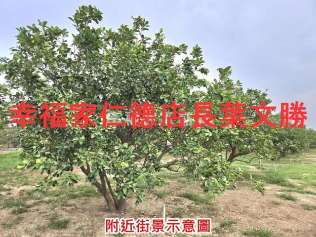 台南農地-5
