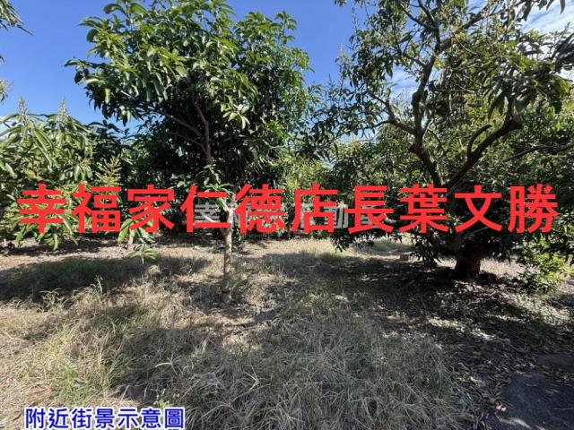 台南農地-10