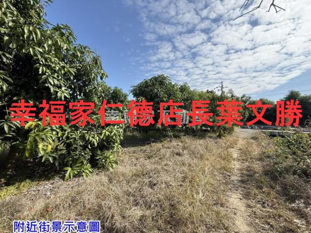 台南農地-11