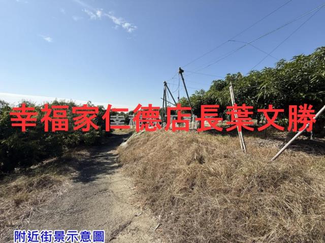 台南農地-12