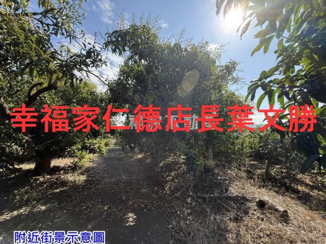 台南農地-0