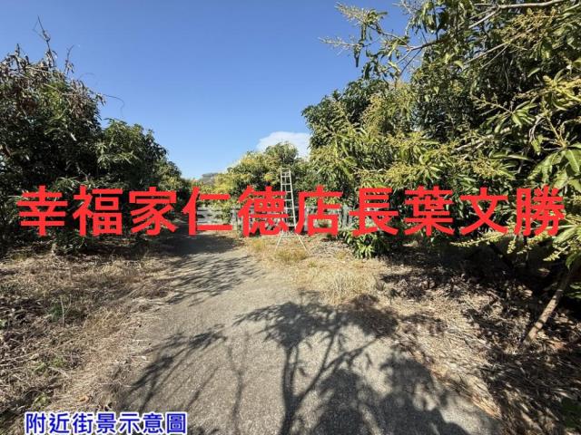 台南農地-1
