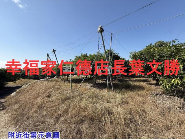 台南農地-3