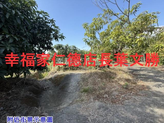 台南農地-6