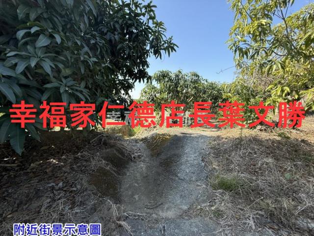 台南農地-7