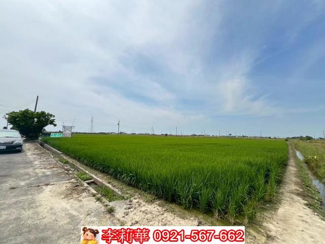 新營農地-3