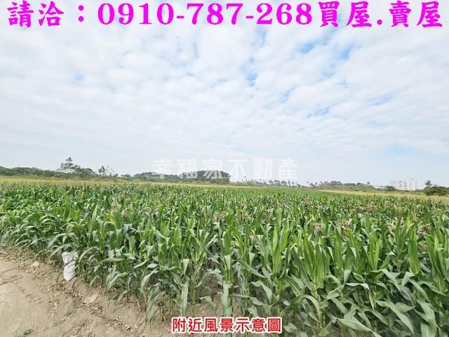 善化農地-12