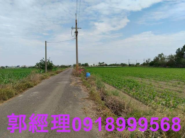 台南農地-5
