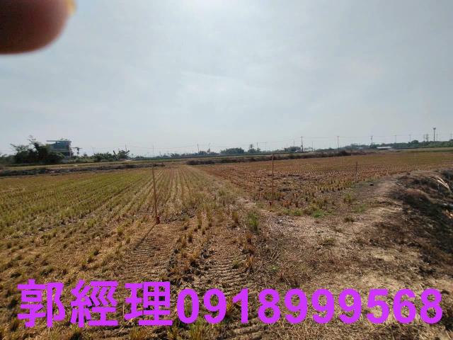 台南農地-6
