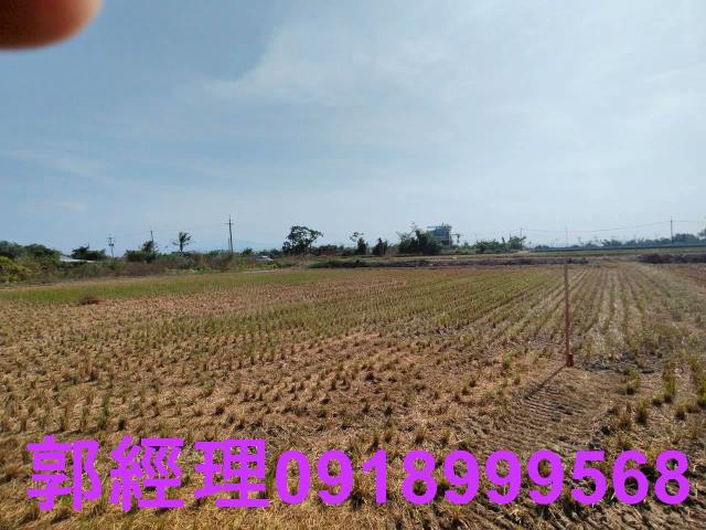 台南農地-7