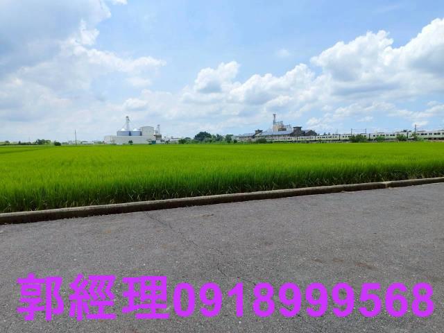 台南農地-10