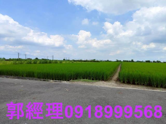 台南農地-7