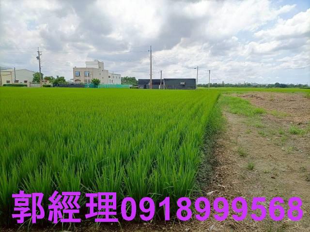 台南農地-4