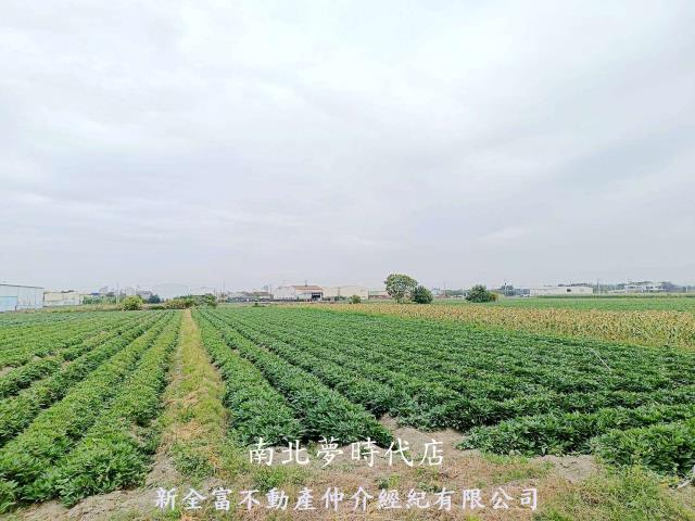 台南新化農地-6