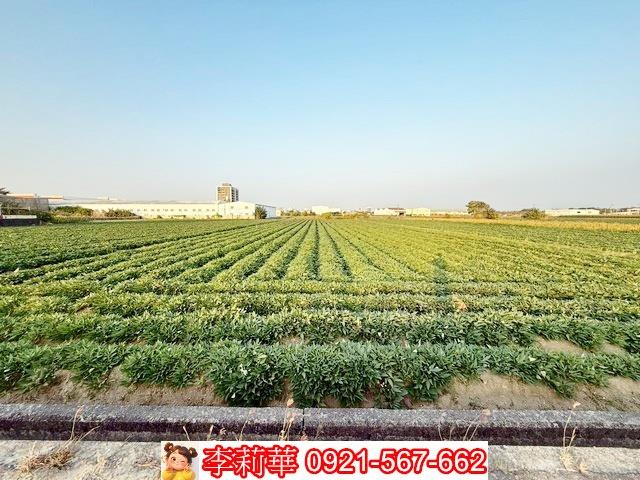 新化農地-4