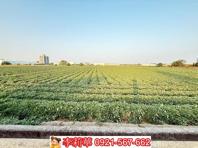新化農地-5