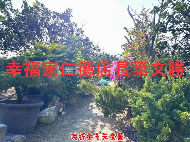 台南麻豆農地-7