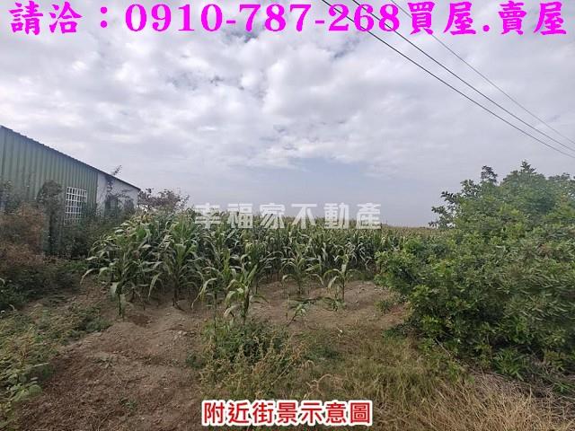 台南佳里農地-4