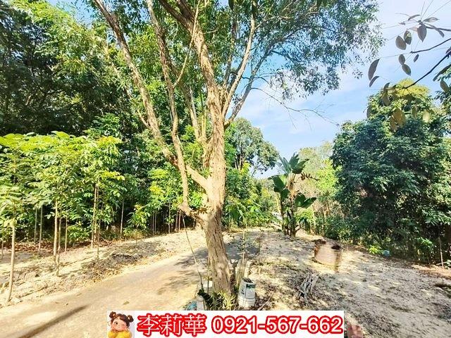 台南關廟農地-11