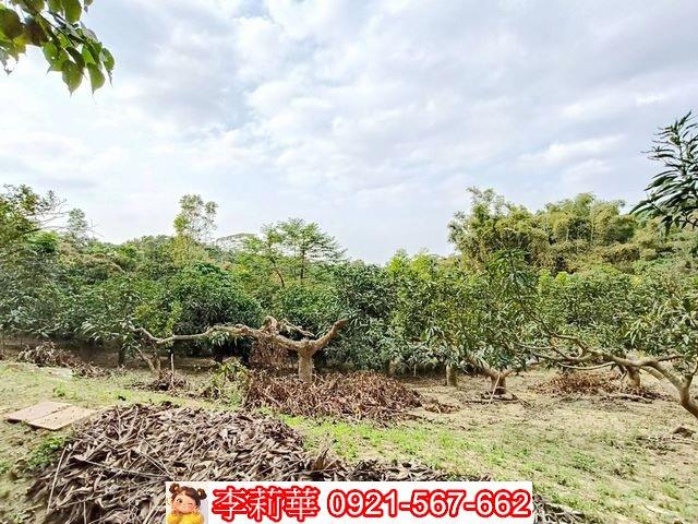 台南關廟農地-13