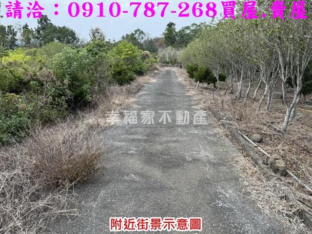 台南楠西農地-9